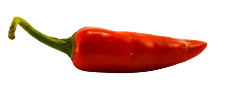 Avika Spices